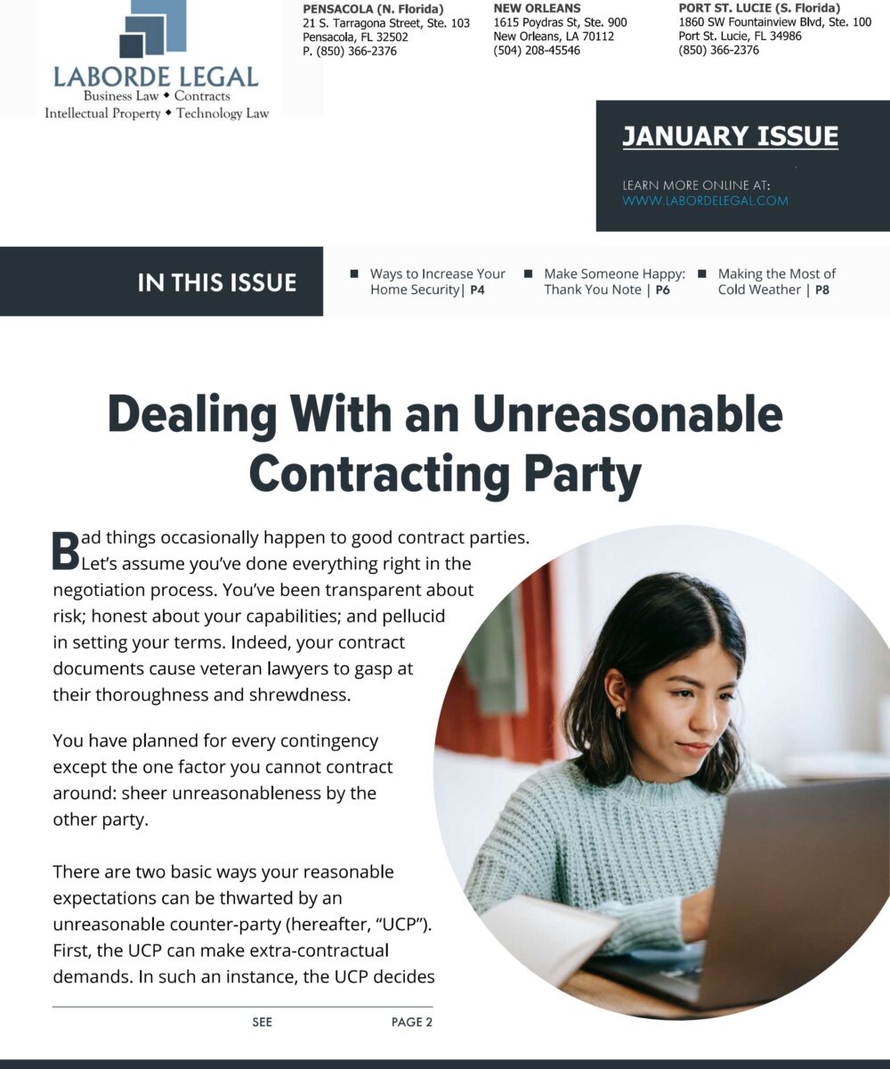 January 2025 Business Law LLG Newsletter Thumbnail